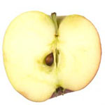 half-vertical image