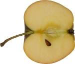 half-vertical image