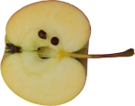 half-vertical image